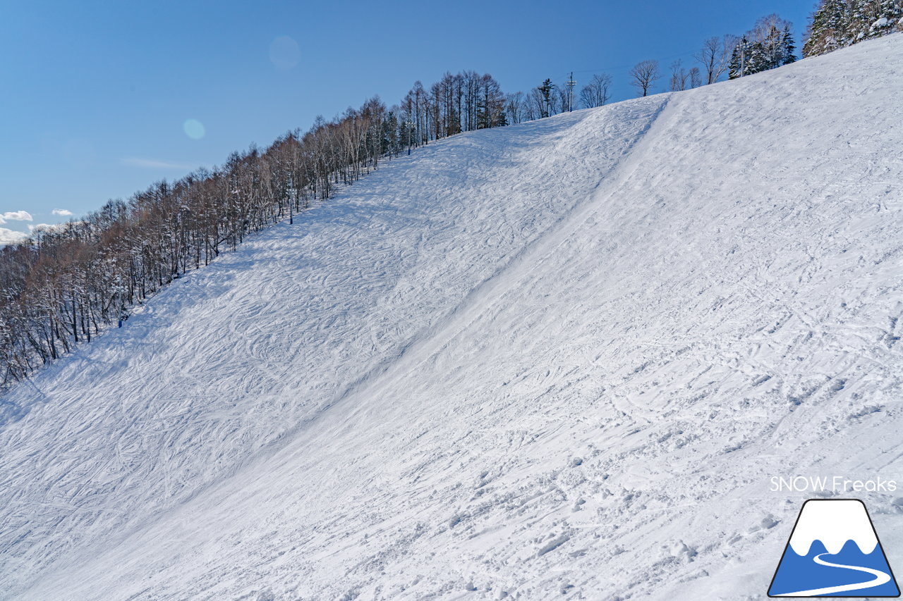 札幌藻岩山スキー場｜本日、雲一つ無い快晴！札幌藻岩山の全10コースの滑走にチャレンジ(^^)/